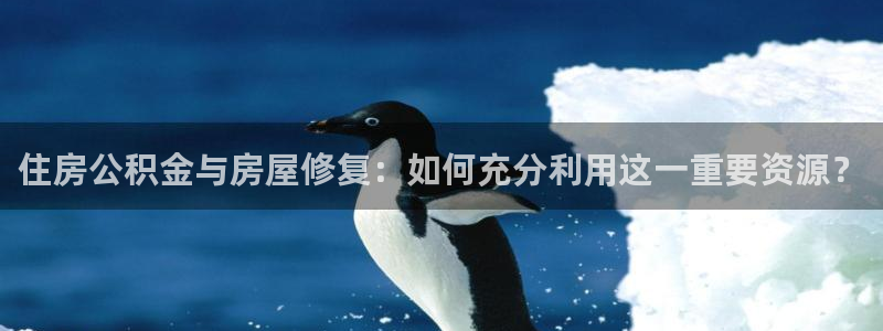 名人堂资讯官网入口：住房公积金与房屋修复：如何充分利用这一重要资源？