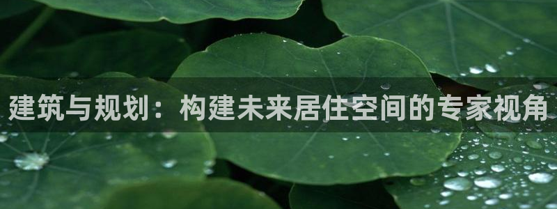 名人堂简介图片