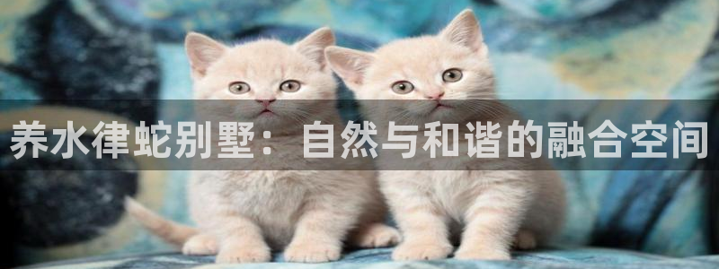 名人堂中国：养水律蛇别墅：自然与和谐的融合空间
