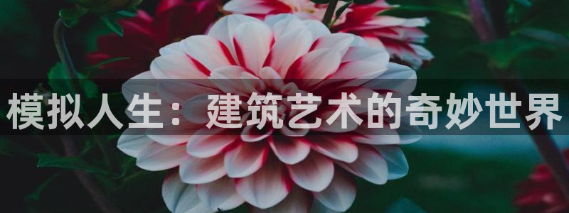 名人堂游戏软件：模拟人生：建筑艺术的奇妙世界