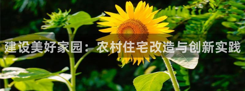名人堂理财logo：建设美好家园：农村住宅改造与创新实践