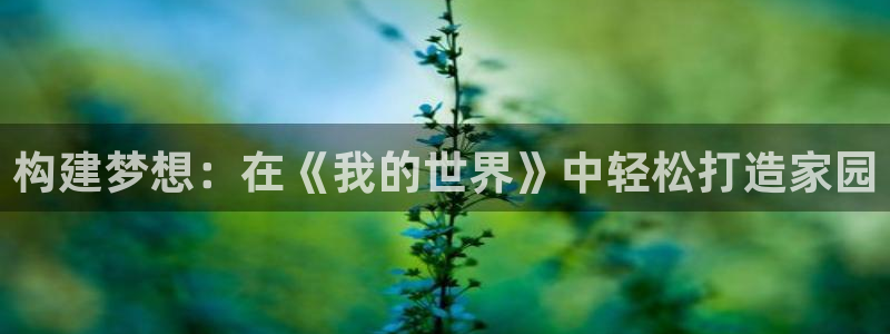 名人堂大厅有挂吗：构建梦想：在《我的世界》中轻松打造家园