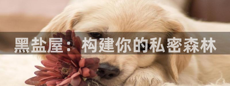 名人堂传媒：黑盐屋：构建你的私密森林
