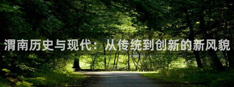 怎么下载名人堂大厅：渭南历史与现代：从传统到创新的新风貌